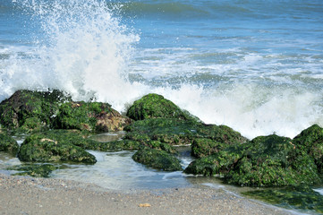 Waves breaking on moss covered rocks