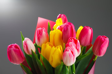 tulip flowers bouquet, close-up view, gray background