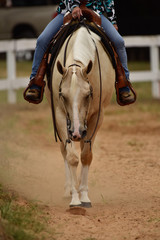 Summer western horse show