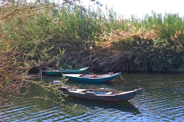 Aswan Salouga and Ghazala protected area with water and small boats in the middle of green trees and water