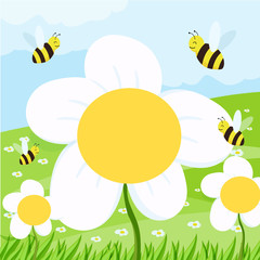 spring background with daisies on the field and blue sky. vector illustration for a banner or cover