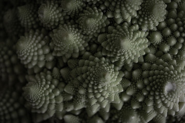 romanesco spiral