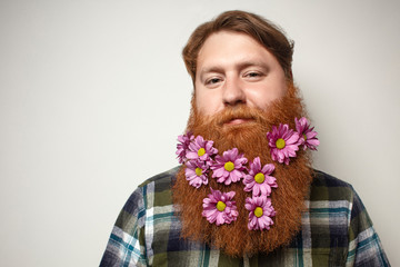 A man with a beautiful red hair and a red beard on the gray background.  A bearded man with a decorated beard for the holiday. Flower in the beard. 