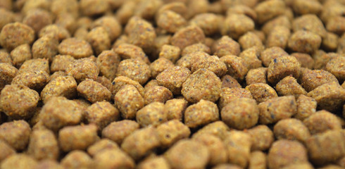 Dry cat food