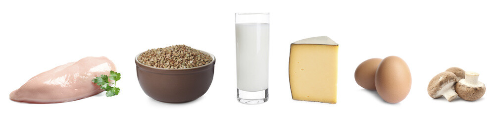 Set with food rich in protein on white background. Banner design