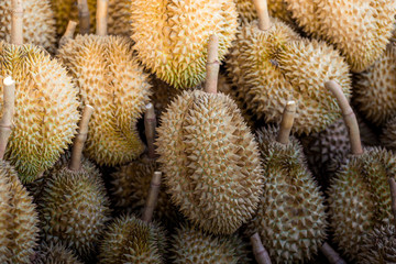 A close-up view of the seasonal fruit that one of the most popular (Durian) that is cut from the tree and placed for sale, has a sweet and delicious flavor.