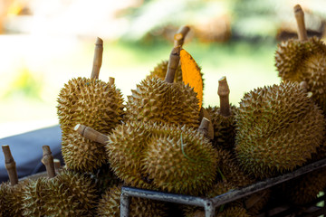 A close-up view of the seasonal fruit that one of the most popular (Durian) that is cut from the...