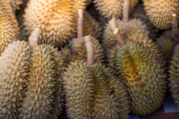 Naklejka na ściany i meble A close-up view of the seasonal fruit that one of the most popular (Durian) that is cut from the tree and placed for sale, has a sweet and delicious flavor.