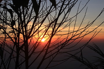 Light from the morning sun