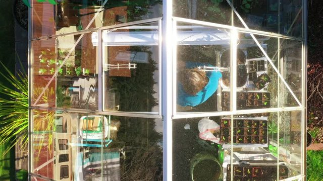 Aerial zoom out of a woman gardener watering her plants in her greenhouse in the backyard. Windsock flowing with the wind.