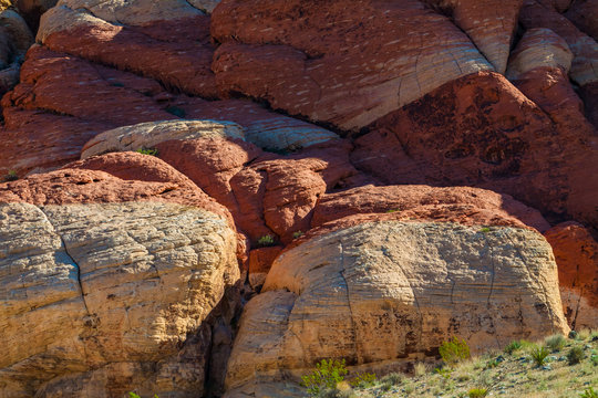 Patterns of Erosion in The Aztec Sandstone of The Calico Hills, Red Rock NCA, Las Vegas, Nevada, USA