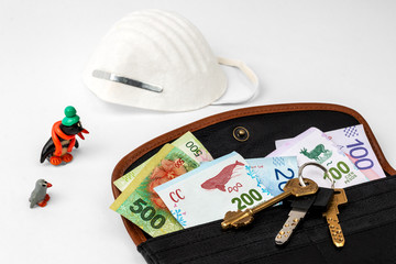Mouth mask, female wallet with Argentine money, set of keys and penguins surprised dolls next to them isolated on white background. 
