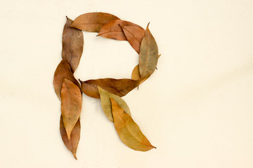 Autumn leaf letter R Background image. Natural forest leaf alphabet Background