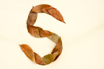 Autumn leaf letter S Background image. Natural forest leaf alphabet Background