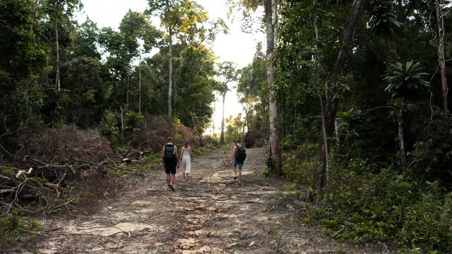 Three Tourists Walking Through A Jungle In Tropical Cambodia