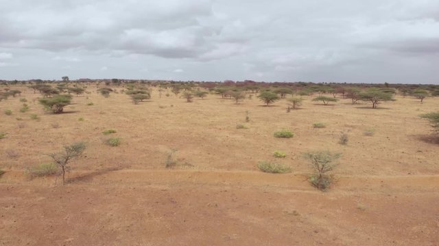 Aerial drone shot of grassland of Pune, Maharashtra, India