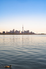 Fototapeta premium Panoramic view of Toronto skyline over the Ontario Lake during the golden hour, Canada 