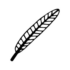 Single doodle vector elements feather. Hand drawn symbols writing and magic. Isolated on white backdrop.