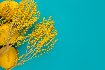 Obraz na płótnie Canvas Branches of mimosa (acacia) tree with yellow flowers on an azure background.