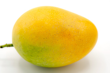 close-up fresh yellow mango isolated on white background.