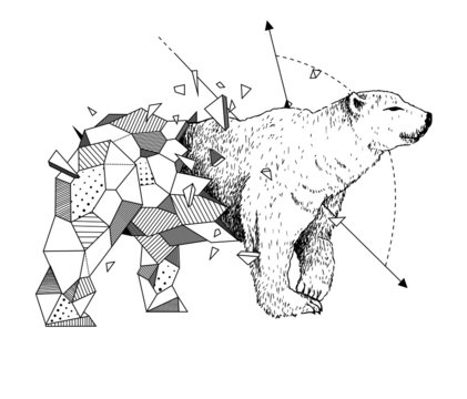 urso polar semi-geométrico