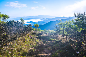 京都・山尾根からの朝もやに雲海