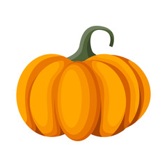 Vector Orange Pumpkin. Isolated Illustration