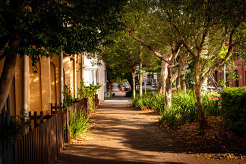 Obraz premium Sydney Streets at Sunset