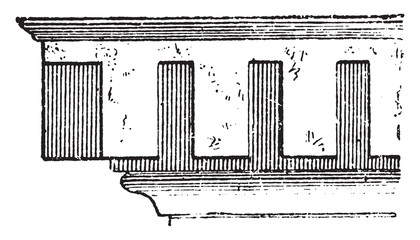 Denticule (Architecture), vintage illustration. © Morphart