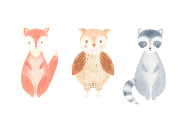 Watercolor cute baby animals set. Lovely woodland raccoon, fox, owl isolated on white background. Perfect for nursery posters, invitation design, baby shower, birthday party design.