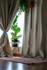 Pray and worship area room at home for Muslim. Islamic prayer rug with hanging green plants with sunlights coming from the window. Beautiful Interior Design.