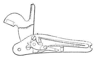 Platinum percussion rifle, vintage illustration.