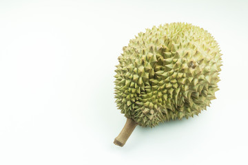 Monthong Durian on white background.Durian is a famous and king of fruits in Thailand.