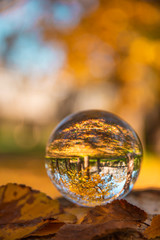 Colourful Autumn Outdoor Nature Landscape Scene with Lens Ball