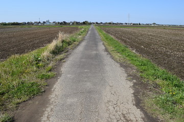 舗装された農業用道路