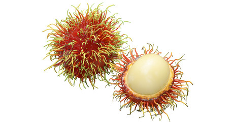 litchi