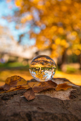 Colourful Autumn Outdoor Nature Landscape Scene with Lens Ball