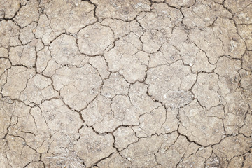 Dry soil surface with cracks under high solar activity and lack of moisture