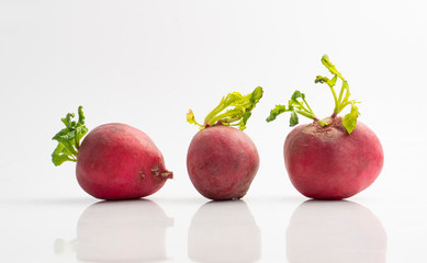 Radish with small leaves on white background