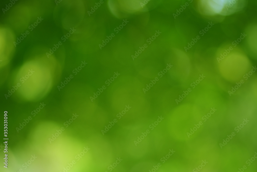 Aufkleber spring bokeh nature abstract background green leaves blurred, beautiful in the spring or summer, are