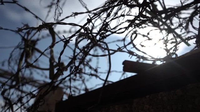 Barbed Wire Above Walls, Cinematic Close Up Slow Motion