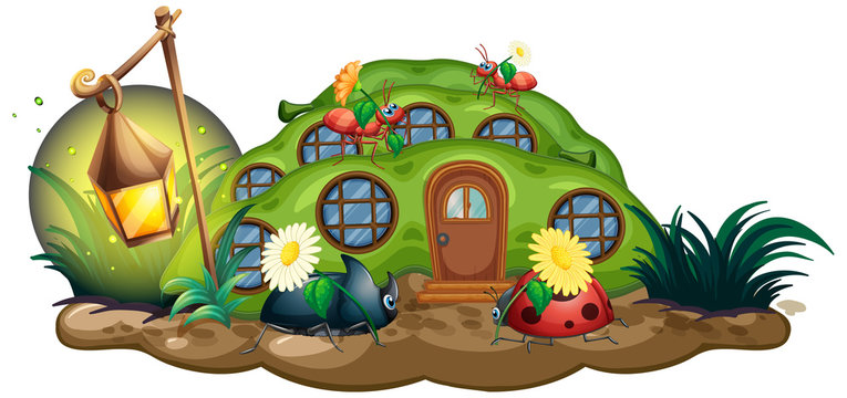 Insect at the fairy house