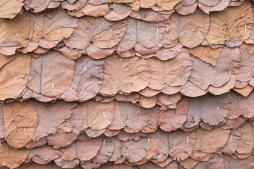 dry big leafs panels, Leafs background