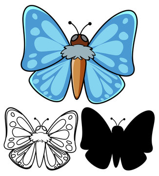 Set of butterfly cartoon