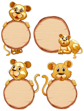 Board template with cute lioness on white background