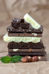 Different kinds of chocolates with nuts cocoa powder and mint