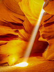 canyon sunbeam