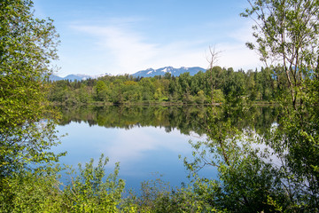 A picture of a lake and mountains framed by some trees.    Vancouver, BC, Canada
