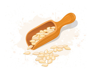 pumpkin seeds vector illustration