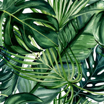 Watercolor hand painted seamless pattern with green tropical leaves of monstera, banana tree and palm on white  background.